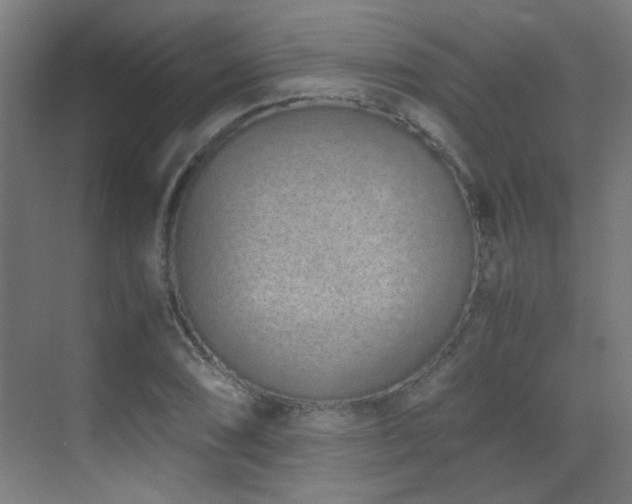 X0000070381074200606091119