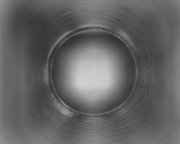 X0000070381076200606091119