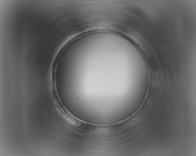 X0000070381078200606091119