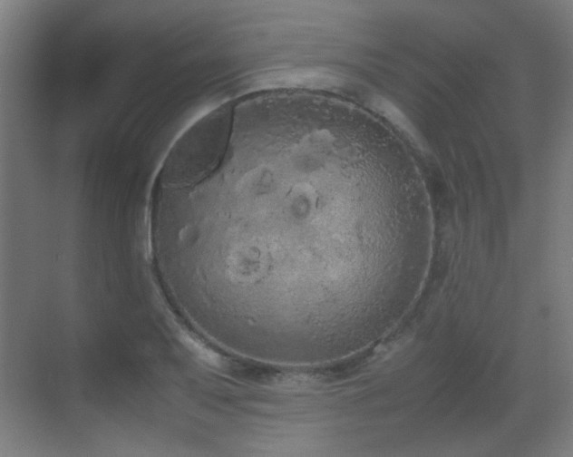 X0000070381079200606091119