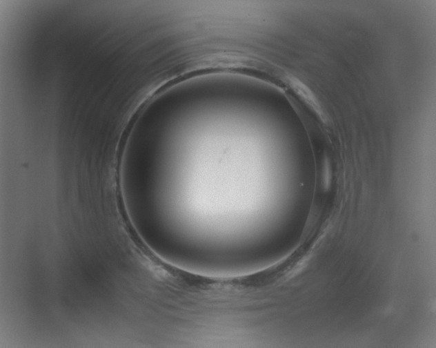 X0000070381081200606091119