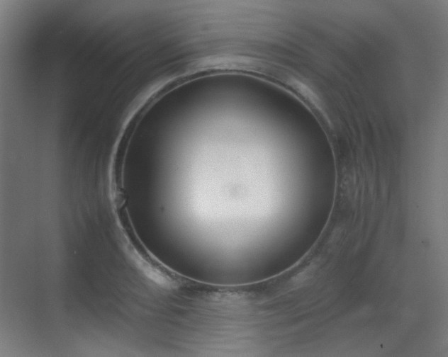 X0000070381082200606091119