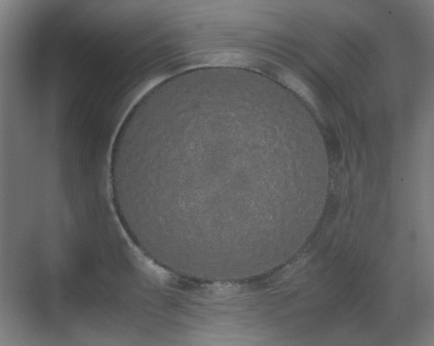 X0000070381087200606091119