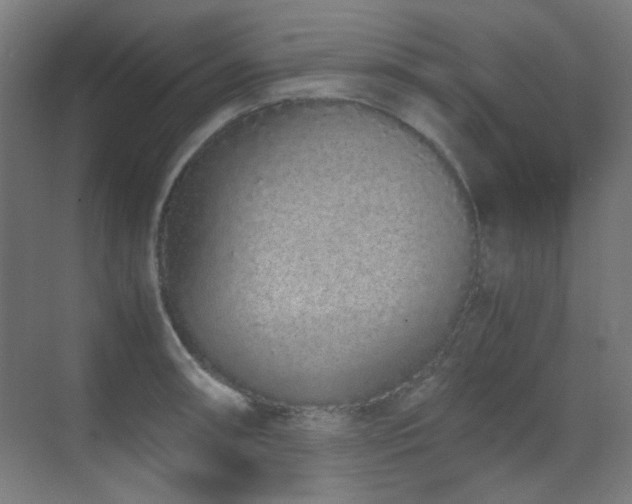 X0000070381090200606091119