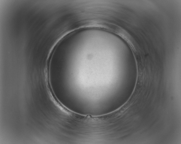 X0000070381092200606091119