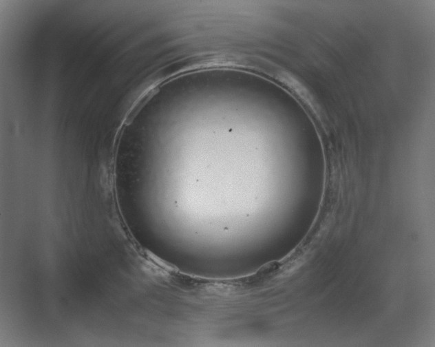 X0000070381097200606091119