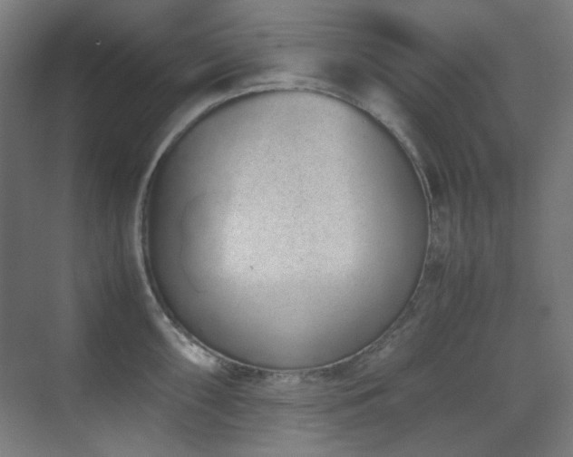 X0000070381098200606091119