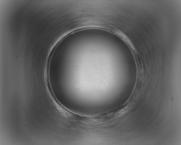 X0000070381101200606091119