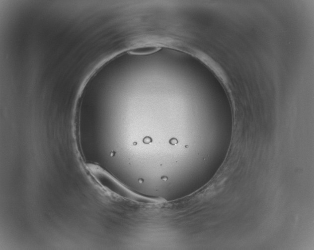 X0000070381104200606091119