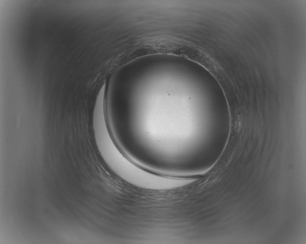 X0000070381108200606091118