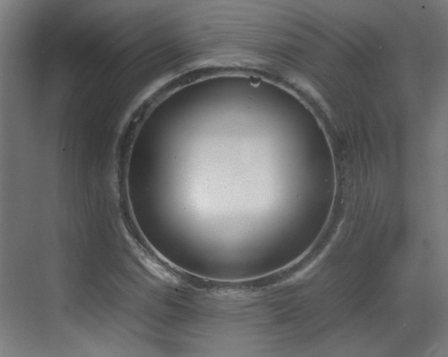 X0000070381114200606091118