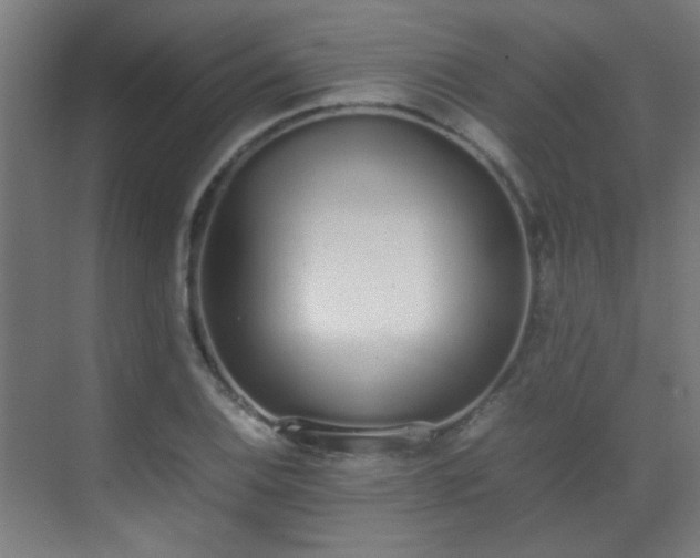 X0000070381124200606091118