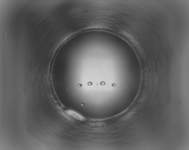 X0000070381129200606091118