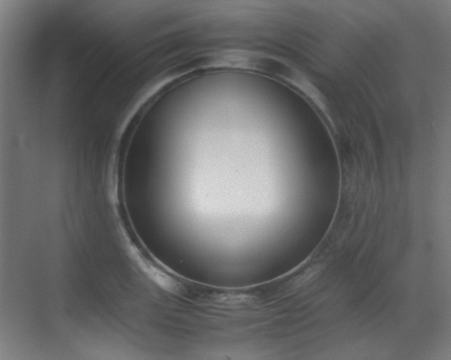 X0000070381131200606091118