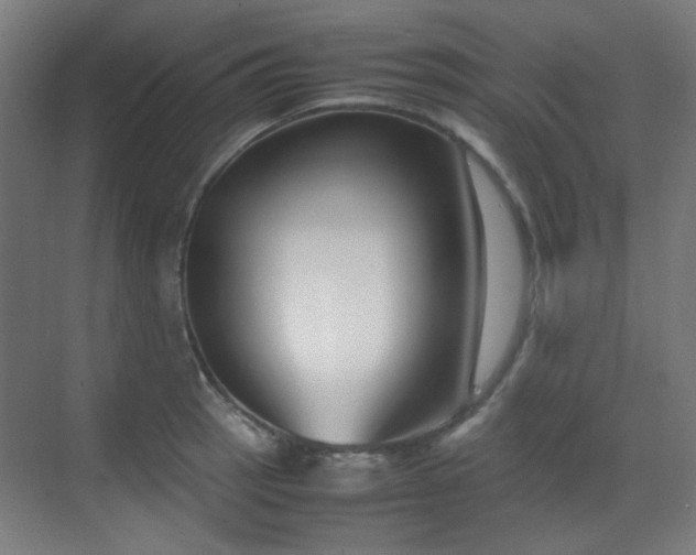 X0000070381137200606091118