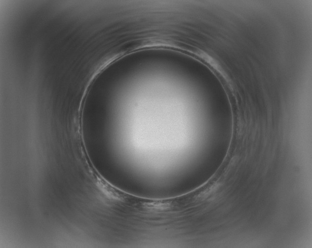 X0000070381145200606091118
