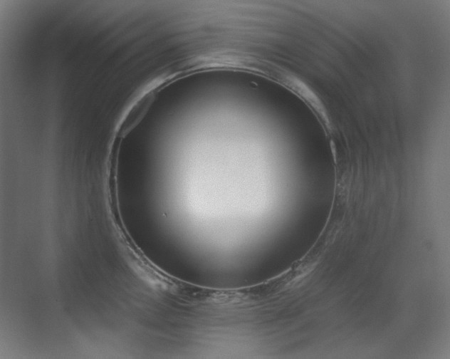 X0000070381146200606091119