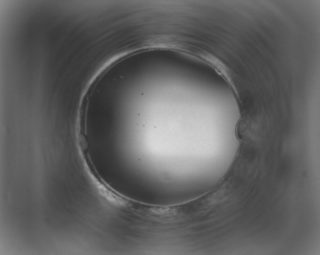 X0000070381147200606091119