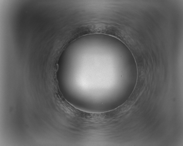 X0000070381153200606091118
