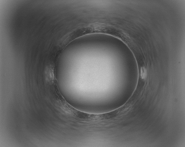 X0000070381155200606091118