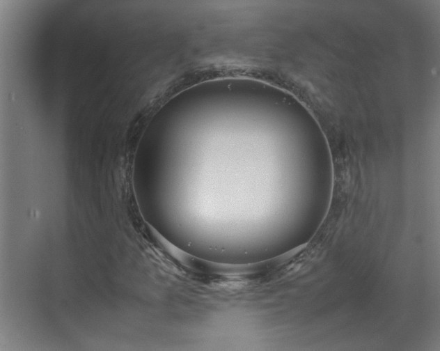 X0000070381157200606091118