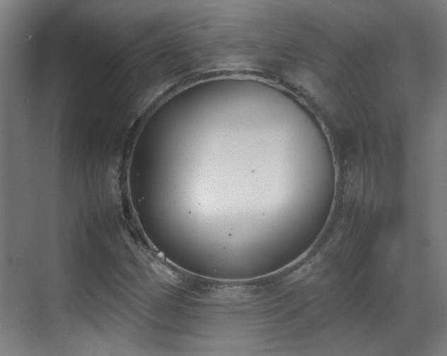 X0000070381162200606091118