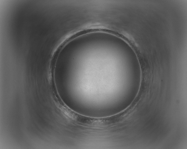 X0000070381167200606091118