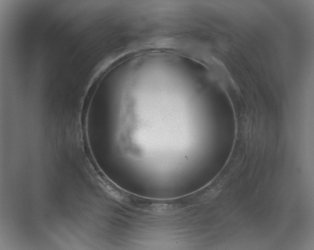 X0000070381176200606091117