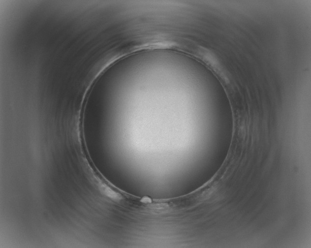 X0000070381186200606091117