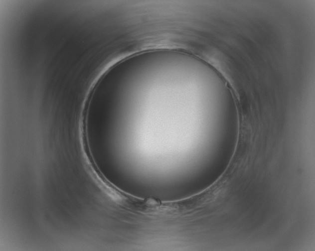X0000070381187200606091117