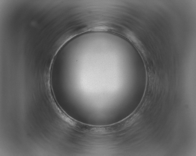X0000070381194200606091117