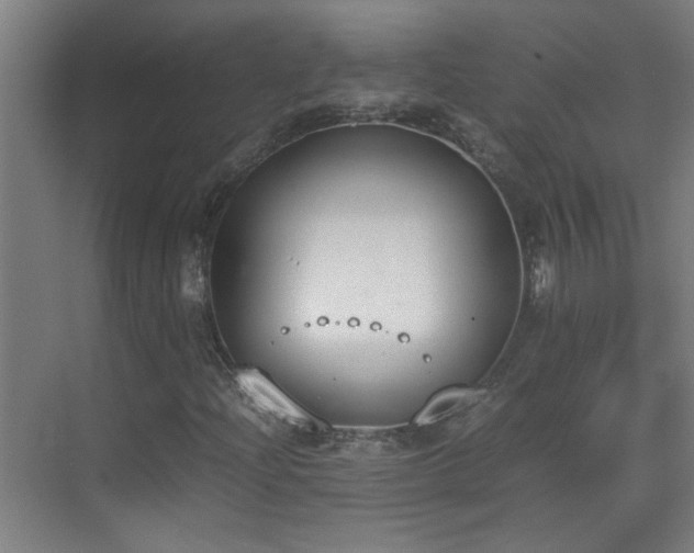 X0000070381204200606091116