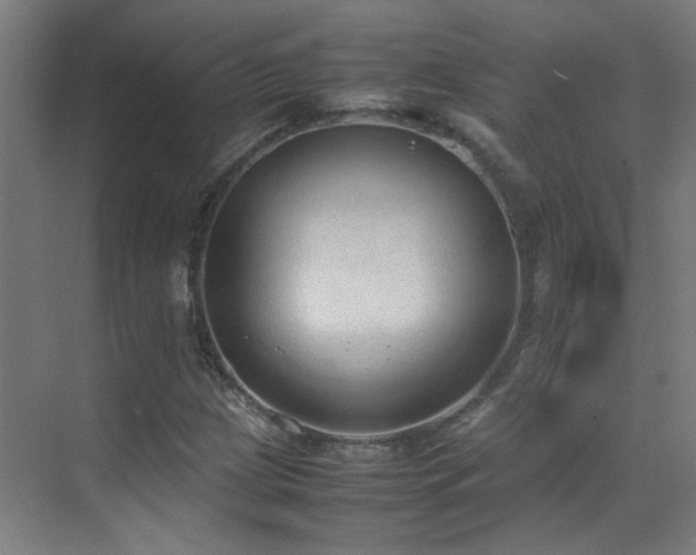X0000070381209200606091116