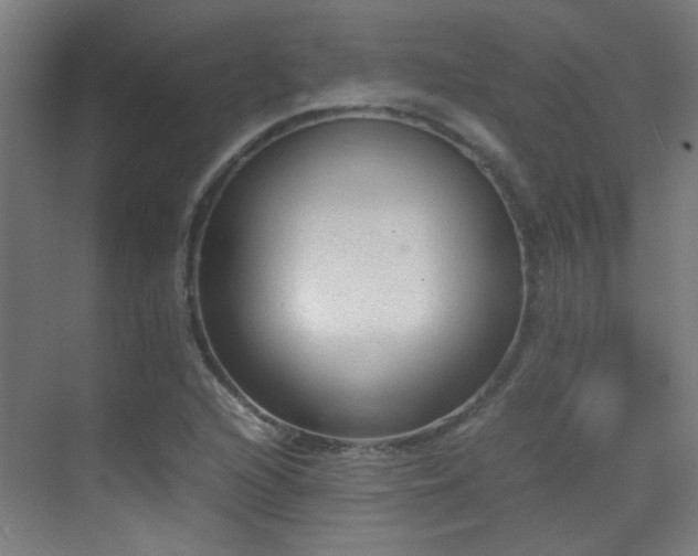 X0000070381216200606091116