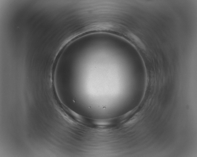 X0000070381226200606091117
