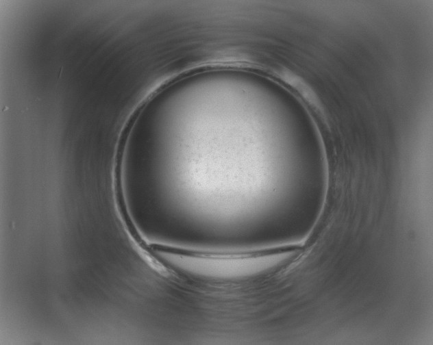 X0000070381237200606091117