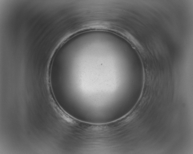 X0000070381240200606091117