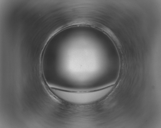 X0000070381242200606091117