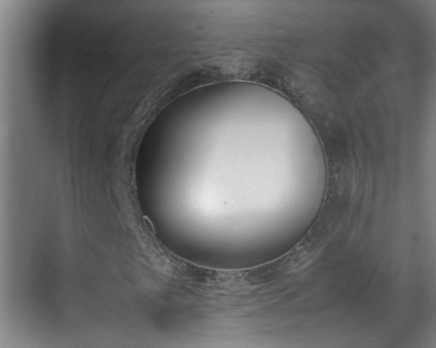 X0000070381249200606091116