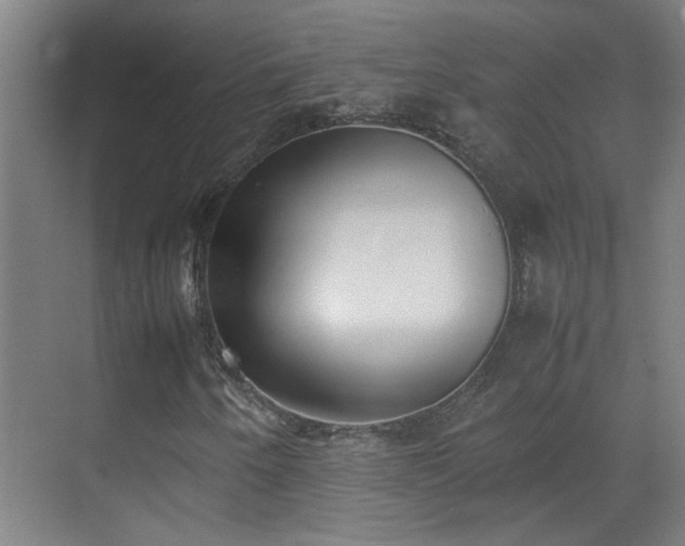 X0000070381250200606091116