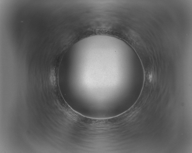 X0000070381252200606091116