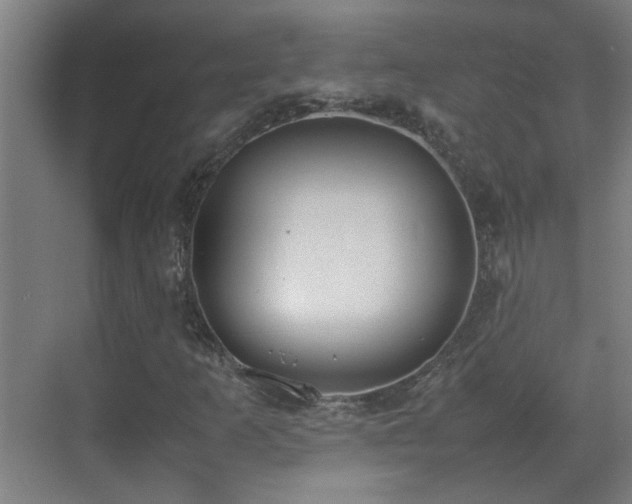 X0000070381253200606091116
