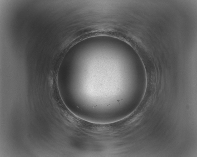 X0000070381257200606091116