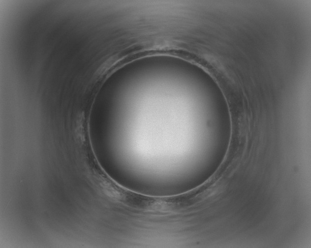 X0000070381265200606091116