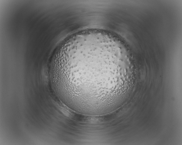 X0000070381266200606091116
