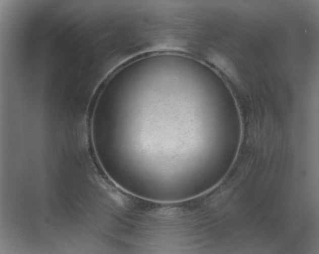 X0000070381268200606091116