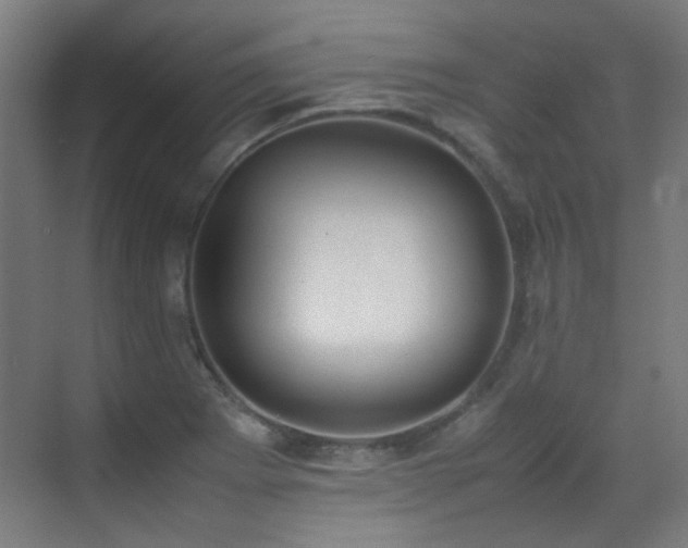 X0000070381273200606091116