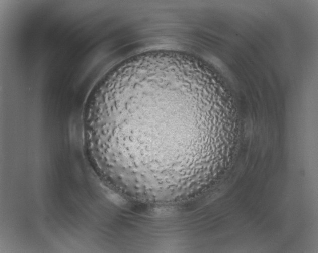 X0000070381274200606091116