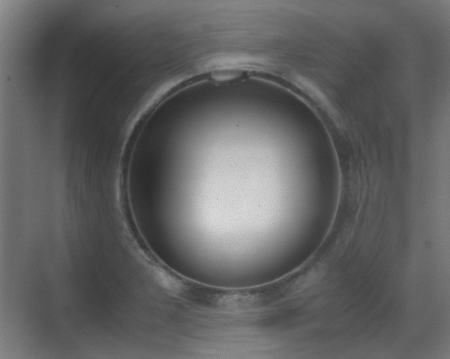 X0000070381277200606091116