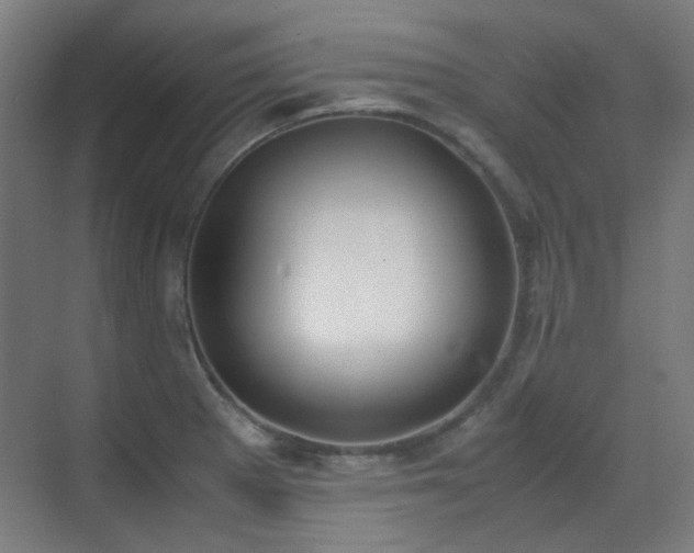 X0000070381281200606091116